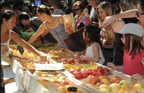 FESTIVAL DE LA TOMATE 2024 - CLAPIERS