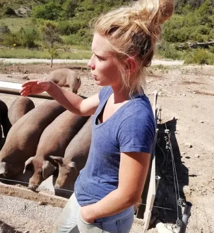 Visite élevage de cochons
