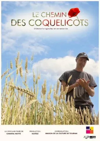 Le chemin des coquelicots AFFICHE