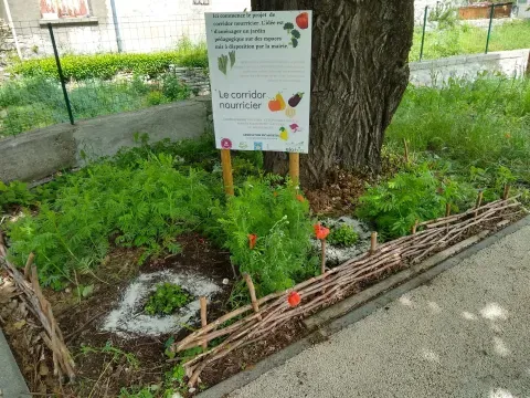 Éco jardinage sur le corridor