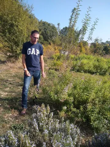 Thomas producteur transformateur de plantes aromatiques Siroterie du Pic