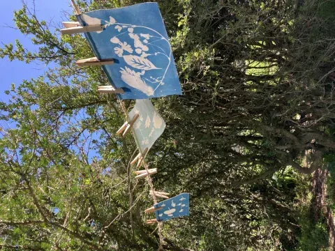0af17ab012b846c1ad6f99cbeff1a60b_2025-07-10_02-06-52.jpeg