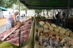 Marché des Beaux-Arts Marché des Beaux-Arts
