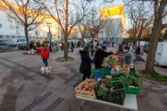 Marché Paysan des Aubes Marché Paysan des Aubes