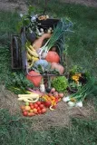 Les produits