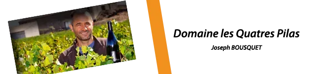 Domaine des 4 pilas