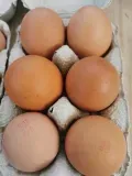 Œufs Œufs