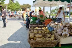 Marché de la Corniche à Sète Marché de la Corniche à Sète