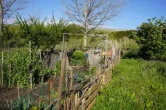 jardin partage caramus jardin partage caramus