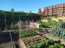 jardins partagés salin sete jardins partagés salin sete