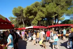 Marché de Balaruc-Les-Bains Marché de Balaruc-Les-Bains