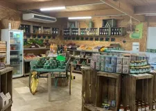 magasin magasin