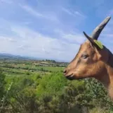 Bergerie du Peyral - C de Guers