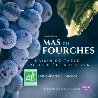 Fruits Bio Hérault Fruits Bio Hérault