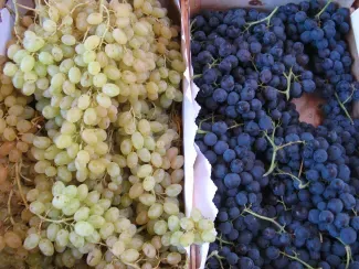 marché_pinet marché_pinet
