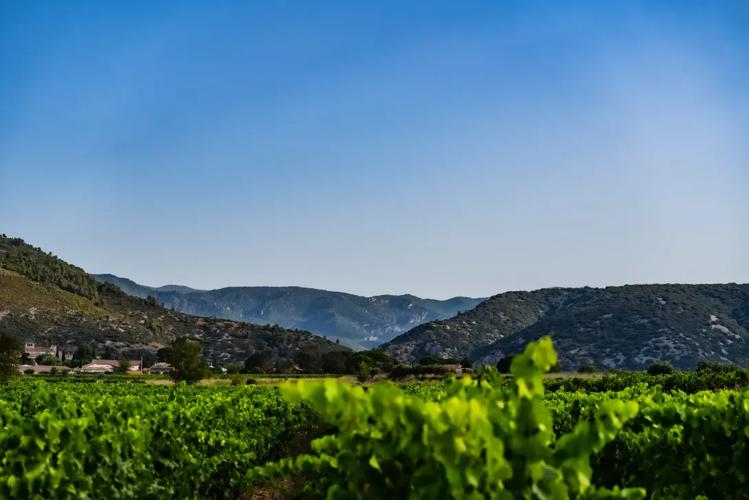 Clos des Combals