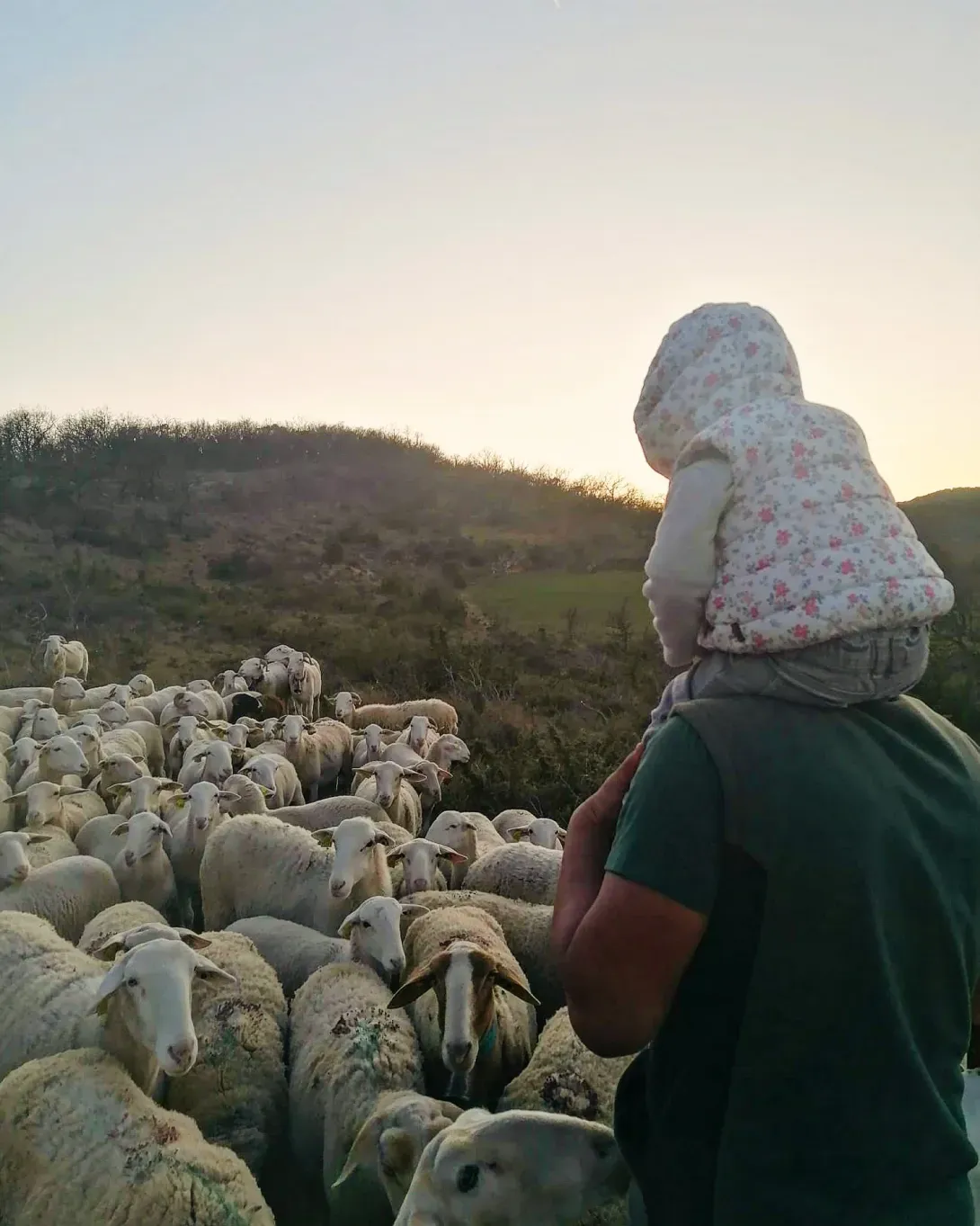 La Ferme du Pic 