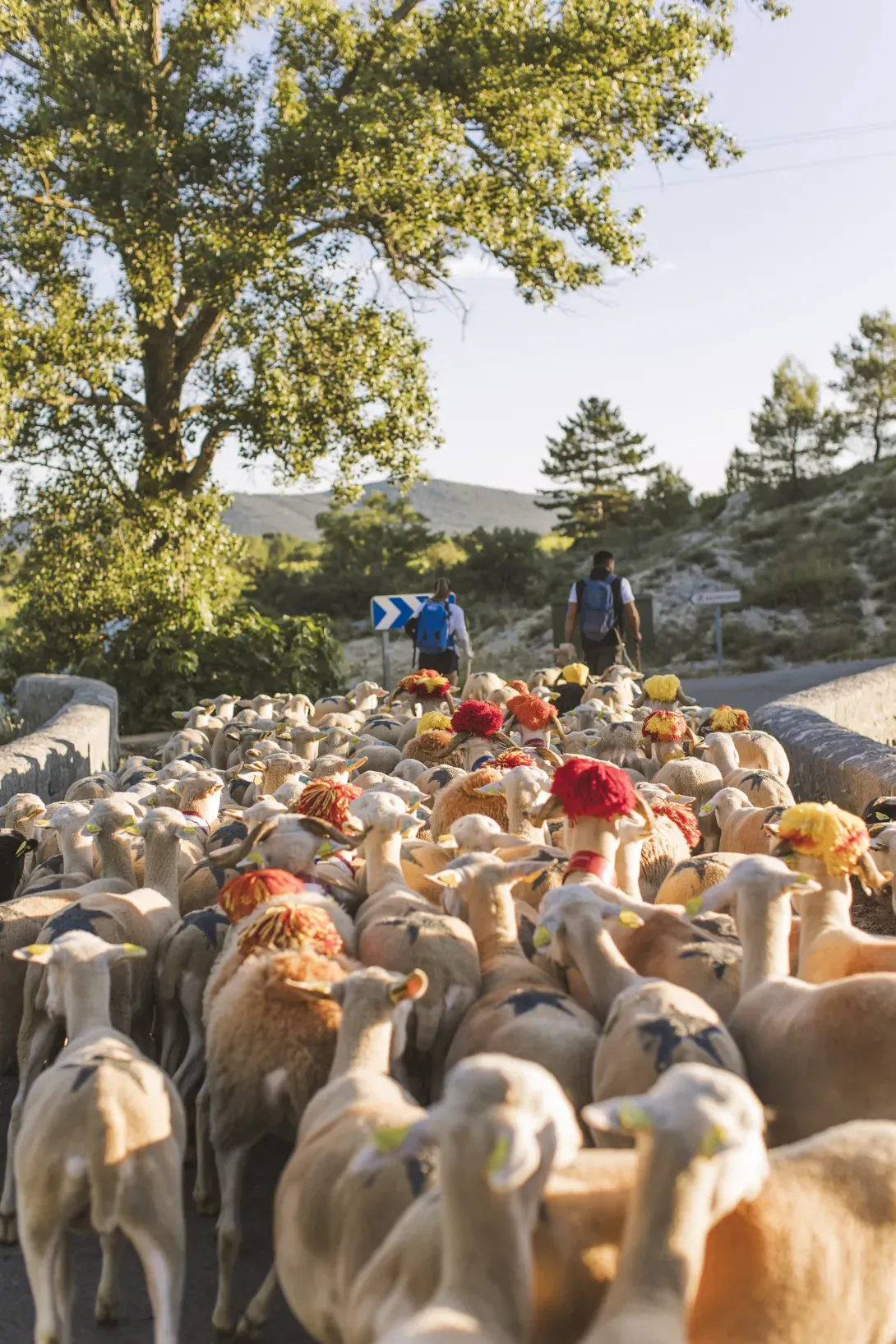 La Ferme du Pic 