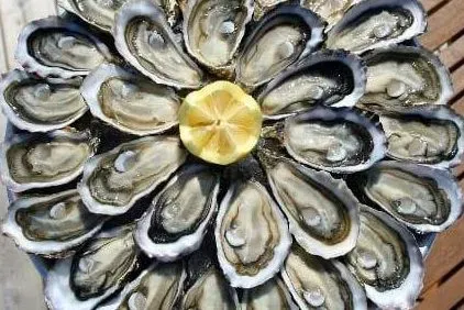 Plateau d'huitres
