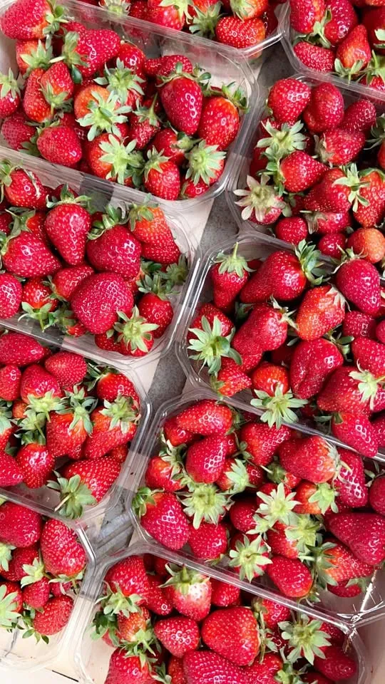 fraises