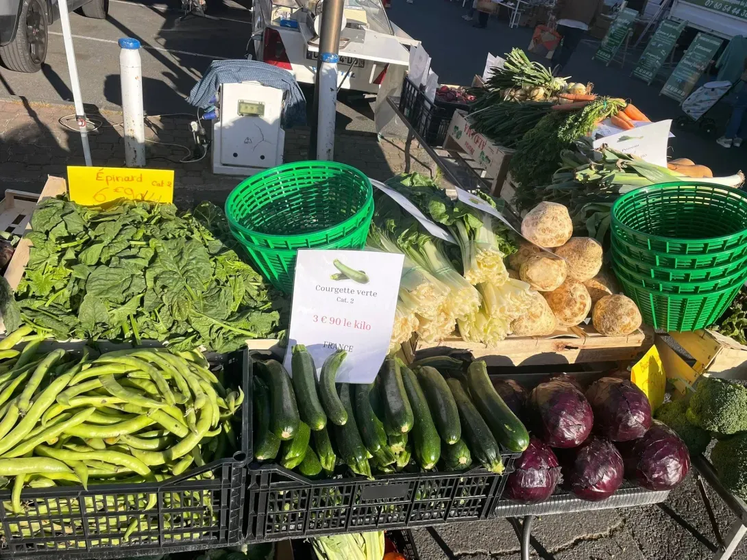 Jardins Cindy Vias 2